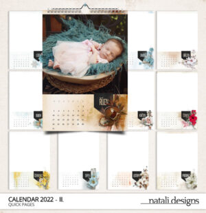 Kalendář nástěnný 22 II.