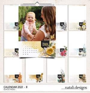 Kalendář nástěnný 21 II.