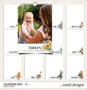 Kalendář nástěnný 21 - IV. (výška)