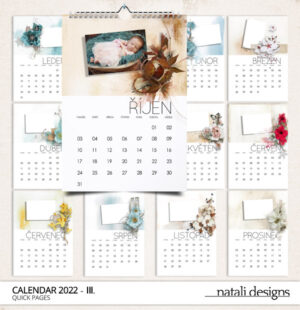 Kalendář nástěnný 22 III.