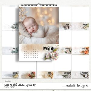 * NOVINKA * Kalendář nástěnný 26 II.c