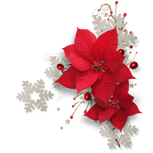 Natali design grafika pro kalendáře