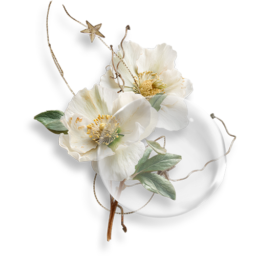 Natali design originální grafika 