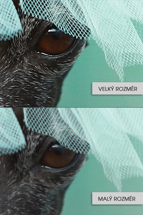 Detailní záběr na přiblíženou fotografii v tiskové kvalitě a webové kvalitě